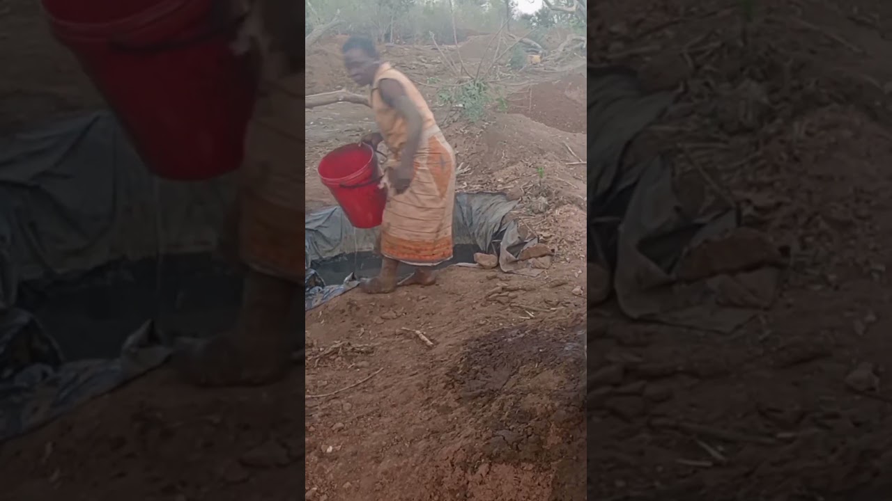 Na batalha de mantimentos #fome #alimentação #moçambique #africa #video #short
