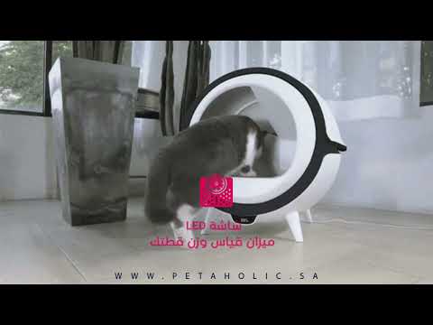 بيتاهوليك صندوق رمل اوتوماتيكي مع لمبة تعقيم الرمل