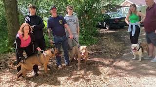 Nero And Mack And Hucklebery