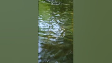 من وصايا لقمان الحكيم لإبنه #القرآن_الكريم #احترم_القرآن #راحة_نفسية #سورة_لقمان #تلاوة_هادءة