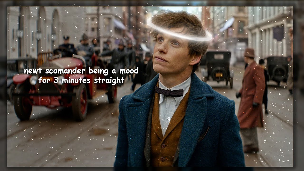 newt scamander being a mood for 3 minutes straight