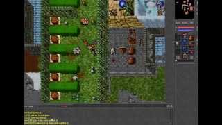 Tibia Server Noobwar.eu Odcinek #1