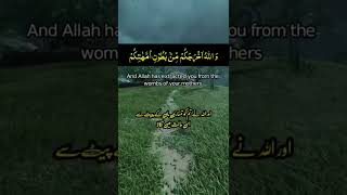 Surah Al Nahl, Ayat no. 78 with Urdu Translation #shorts #quran #surahnahl