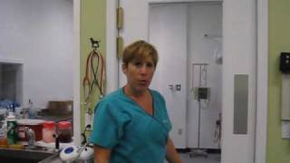 Helping Hands Veterinary Surgical and Dental Center - Richmond