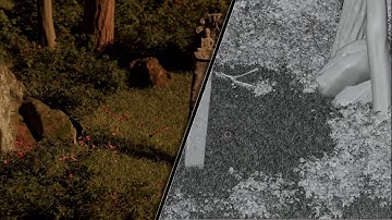 How to Make a Photo Realistic Forest in Blender