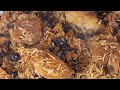 بخاري الدجاج
