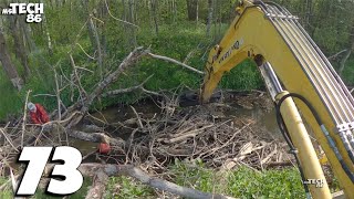 The Beavers Have Done A Real Massacre Here - Beaver Dam Removal With An Excavator No.73