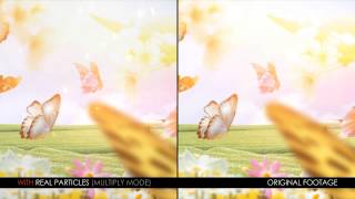 Real Particles Bundle 1 (Soft Particles)