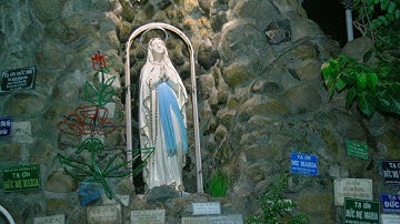 Gia đình cầu nguyện: Trực tiếp: lúc 19giờ15