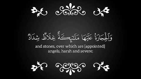 تلاوة تهزّ القلوب | سورة التحريم بصوت يأخذك لعالم آخر – عبد العزيز الزهراني