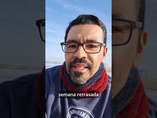 Mortalidade de pinguins no litoral gaúcho tem relação com a gripe aviária? #pinguins #penguins