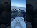 アレンジしてみた、自分の曲を。海綺麗だった、また行きたい。