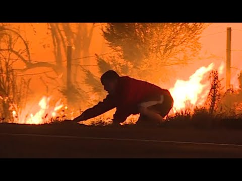 Video: Man Rescues Bunny From Fire