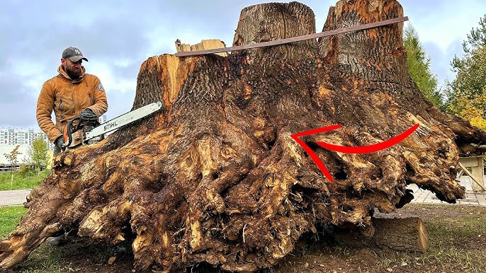 INCREDIBILE QUANTITA' DI FOGLIE! PROVO IL + POTENTE SOFFIATORE (ELETTRICO A  BATTERIA), SE LA CAVA? 