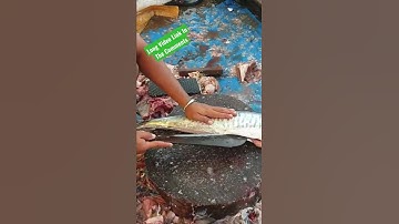 Thumbnail of Proses Fillet Ikan Tengiri #shorts #afrisorong