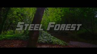 Steel Forest 道順