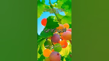 سورة المؤمنون، [الآية: 18-19] القارئ الشيخ محمد الفقيه حفظه الله