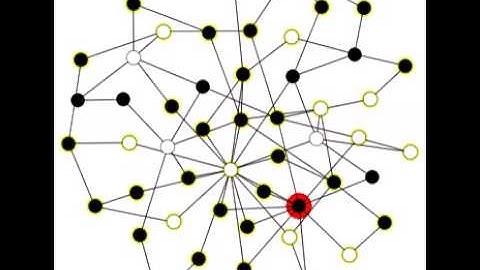 Network Dynamics