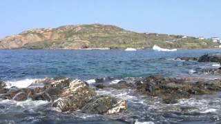 Twillingate, Newfoundland Icebergs