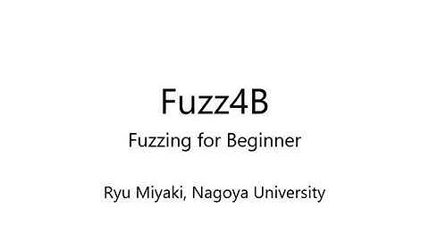 Fuzz4B Demonstration Video