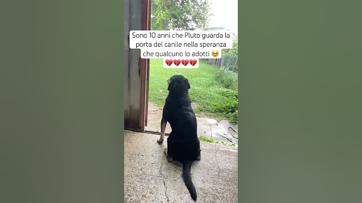 Pluto in #canile da anni cerca #famiglia 🥹♥️ #reaction #cane #cucciolo #amore #adozione #triste