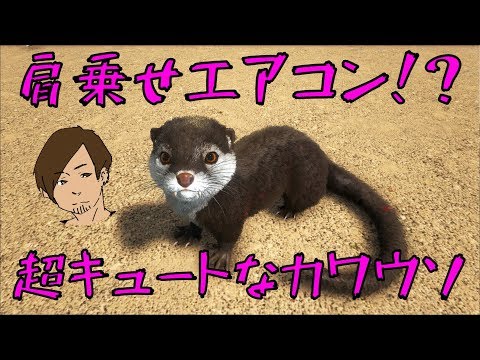 Ark 防寒対策もばっちり キュートなカワウソ 74 Ark Survival Evolved Youtube