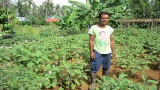 Organic Farming in The Philippines.