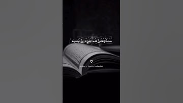 أَلهَاكُمُ التَّكَاثُرُ حَتَّى زُرْتُمُ الْمَقَابِرَ تلاوه خاشعة❤️ #ماهر_المعيقلي