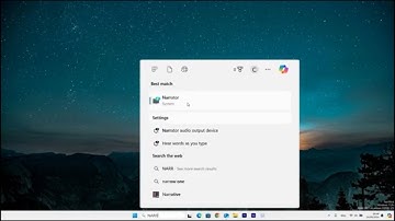 How To Hide Blue Box Around Active Item in Narrator on Windows 11 or 10