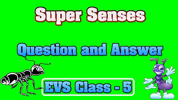 Super Senses Question and Answer | EVS Class 5 chapter 1 | explained super senses | Carry Education