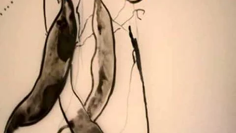Arte contemporneo Sandra Petrovich