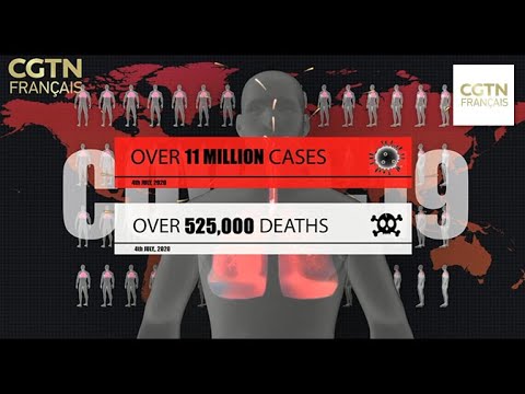 Vidéo: L'anthrax Est Une Arme Biologique - Vue Alternative