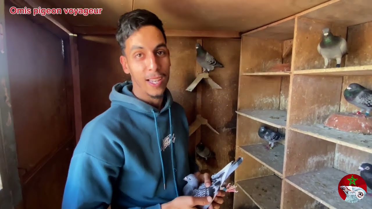 زيارة عند بطل من أبطال الدار البيضاء  Reda Drissi حمام عالمي اللهم بارك 🕊️❤️ فرجة ممتعة🫡🤍