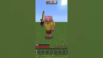 Which armor can save you from PIGLIN attack? | Part 1 #minecraft