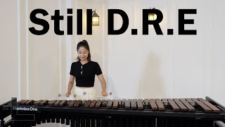 Hip Hop Marimba / Still D.R.E - DR. Dre Resimi