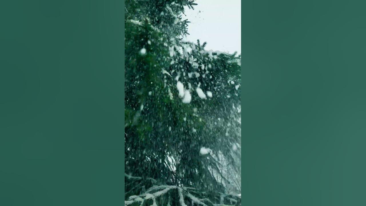 Бойтесь терпеливых людей - YouTube