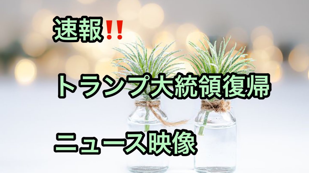 【速報です‼︎】トラさん復帰ニュース報道　※概要欄リンクから