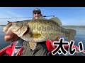 【プロガイド琵琶湖】ランカー連発!