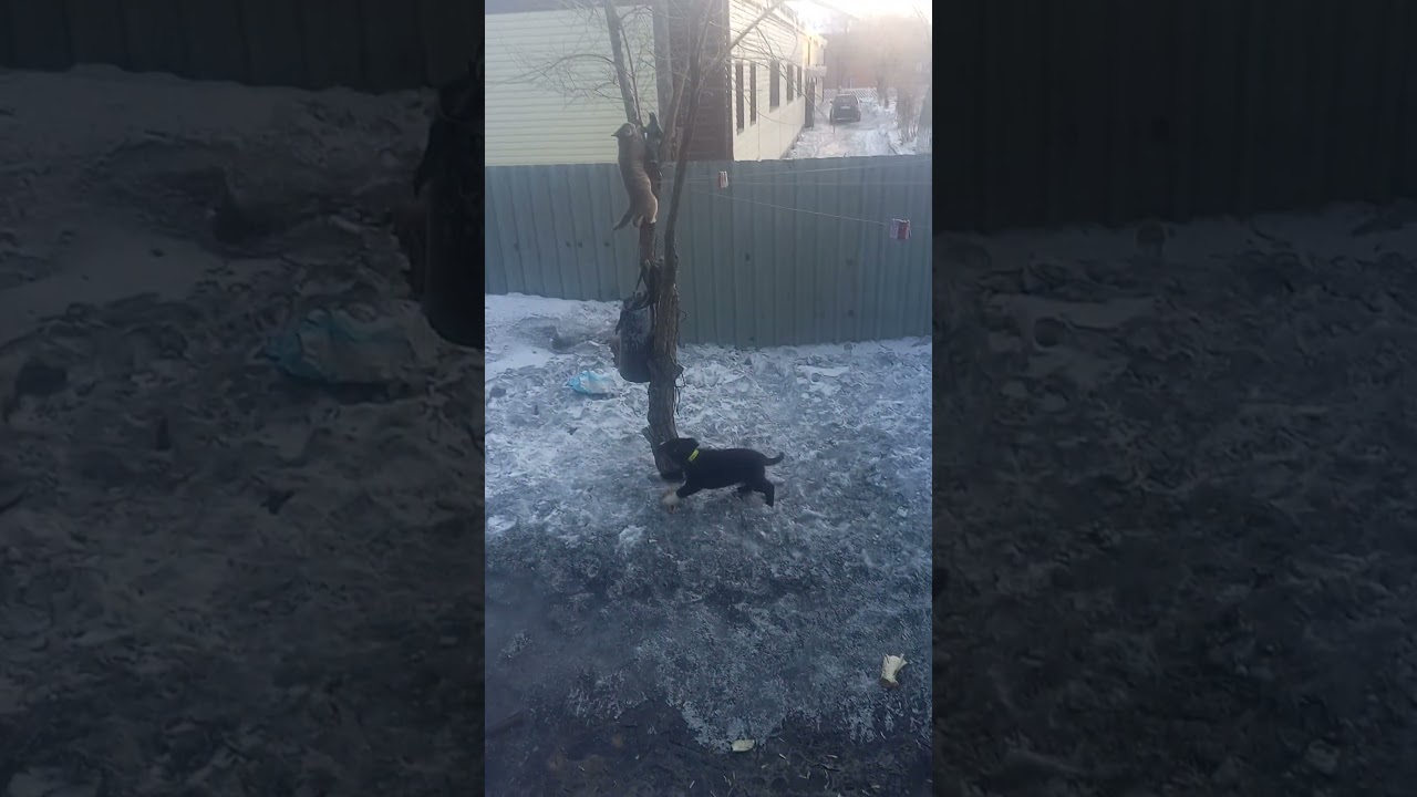 вышли на свежак