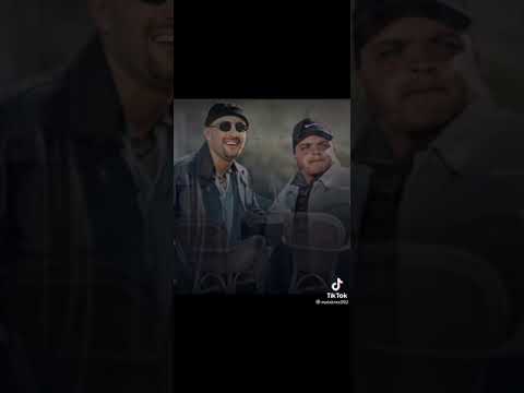 همام ف امستردام