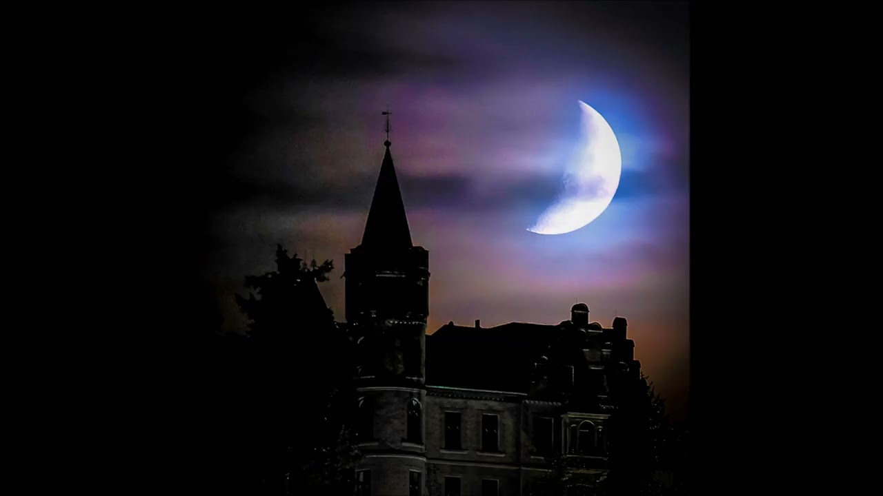 DARK The Bopman - Don't Forget