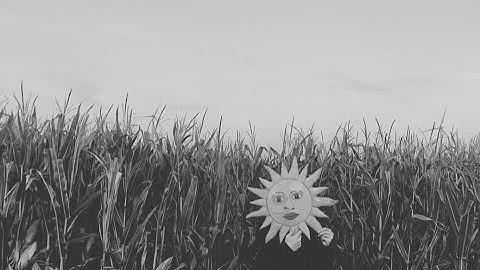 FALLOUT (Music Video)