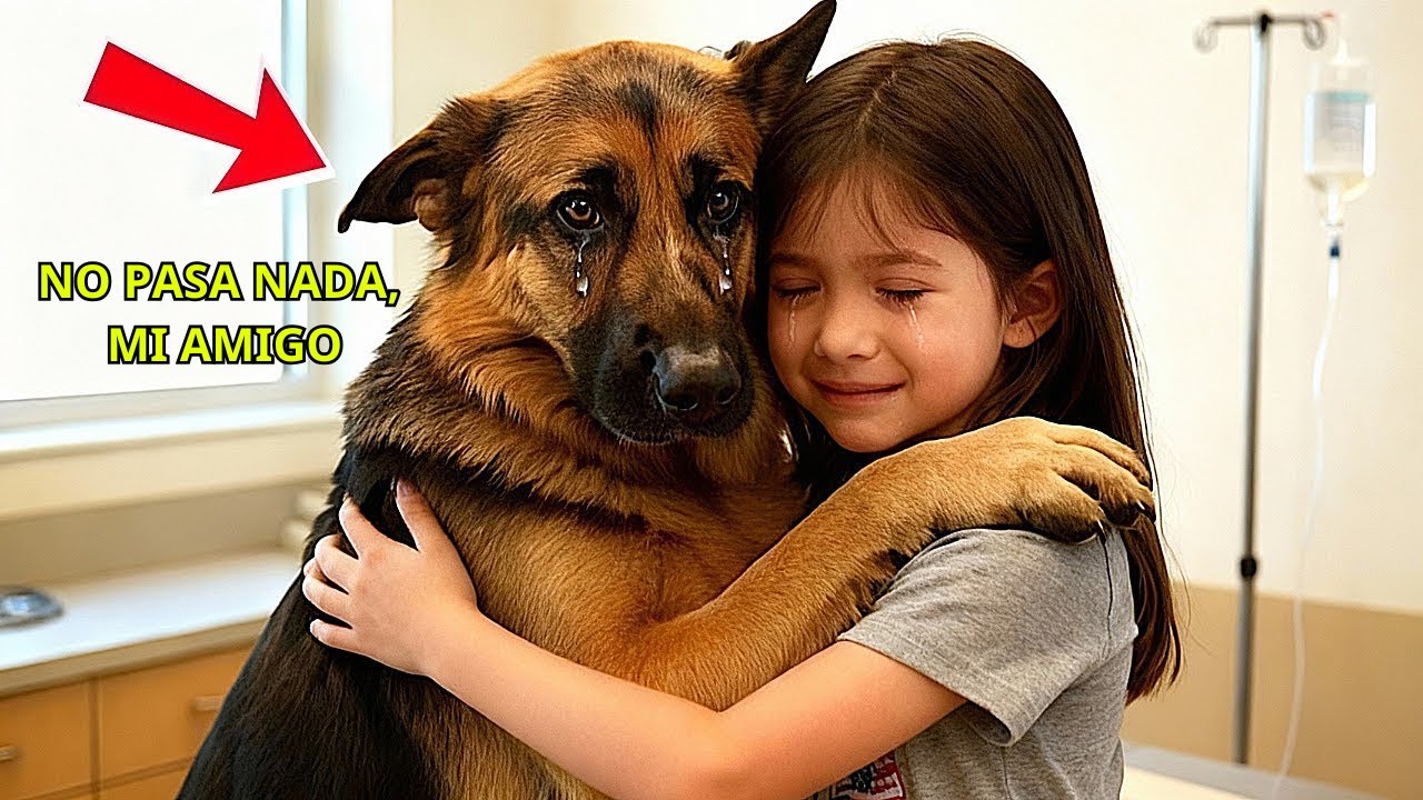 “Perro policía moribundo abraza a una niña antes de ser sacrificado — ¡El veterinario nota algo