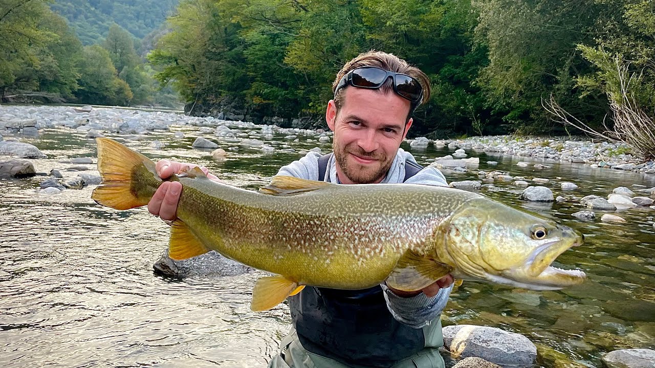 MARMORATA | Forellen Fischen in Slowenien | Triglav - Idrijca