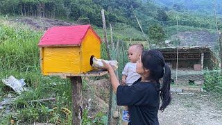 Young mother harvests beans to sell. Build shelters for birds. Du Duyên daily life