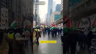 Download Lagu Voices From Palestine You Can’t Ignore #palestine #voice #hope MP3