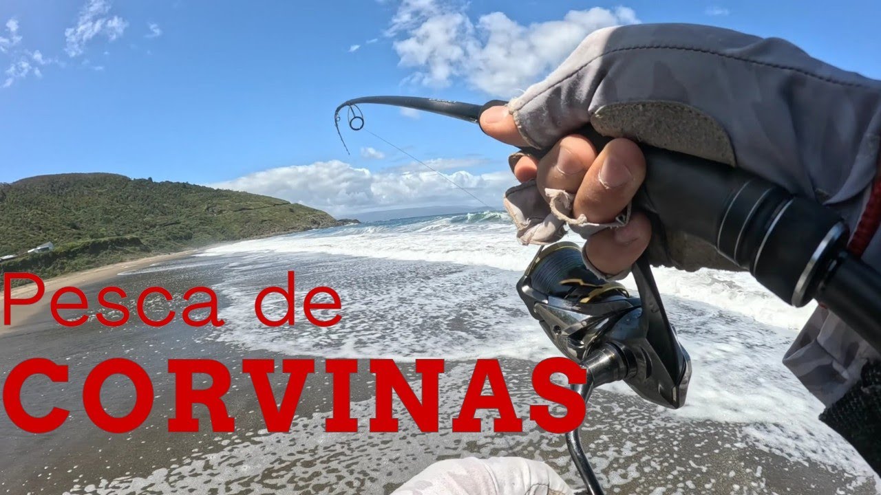 Corvinas en costas VALDIVIANAS 👀 TODOS sacan menos yo 🫣 me voltea una ola y se termina mi jornada 😔