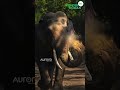 ഇടയ്ക്കിടയ്ക്കുള്ള അവൻ്റെ ഒരു നോട്ടം അത് ഇപ്പോഴും എൻ്റെ മനസ്സിൽ ഉണ്ട്...