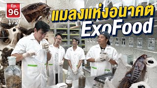 อาหารสัตว์ มาตรฐานมนุษย์ Exofood - เพื่อนรักสัตว์เอ้ย EP.96 [1/2]