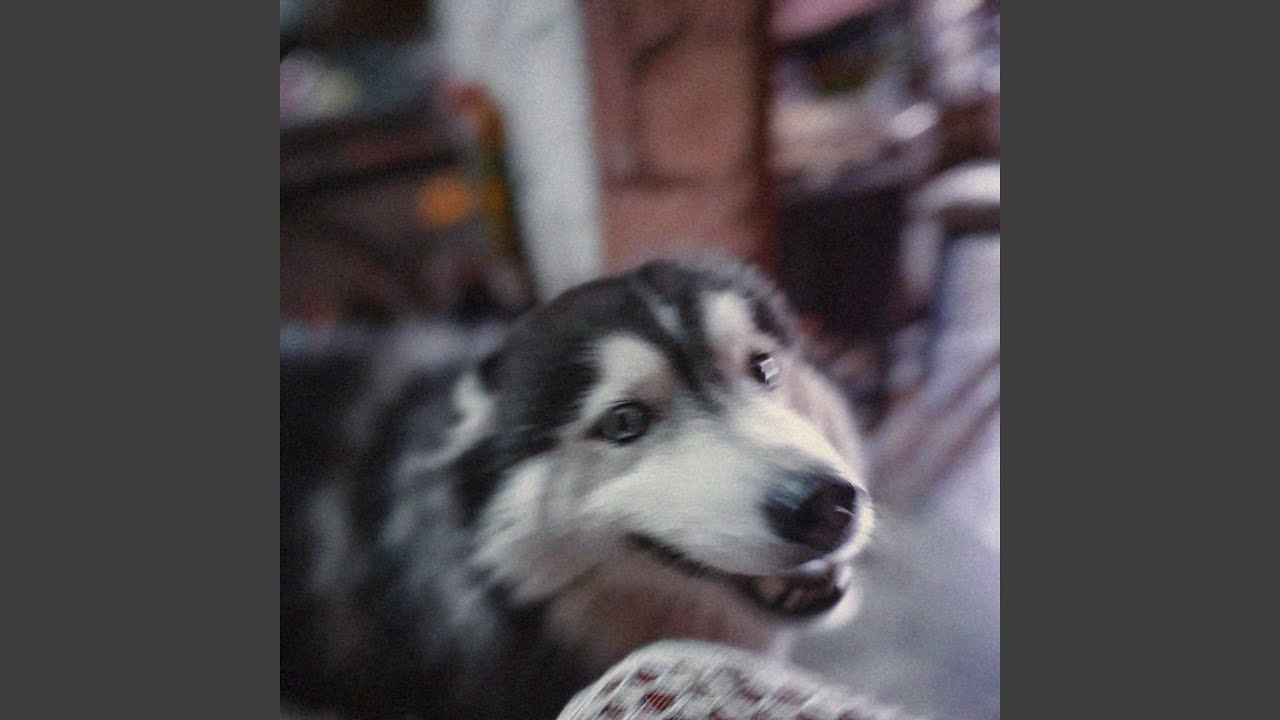 I Promise It Won't Happen Again